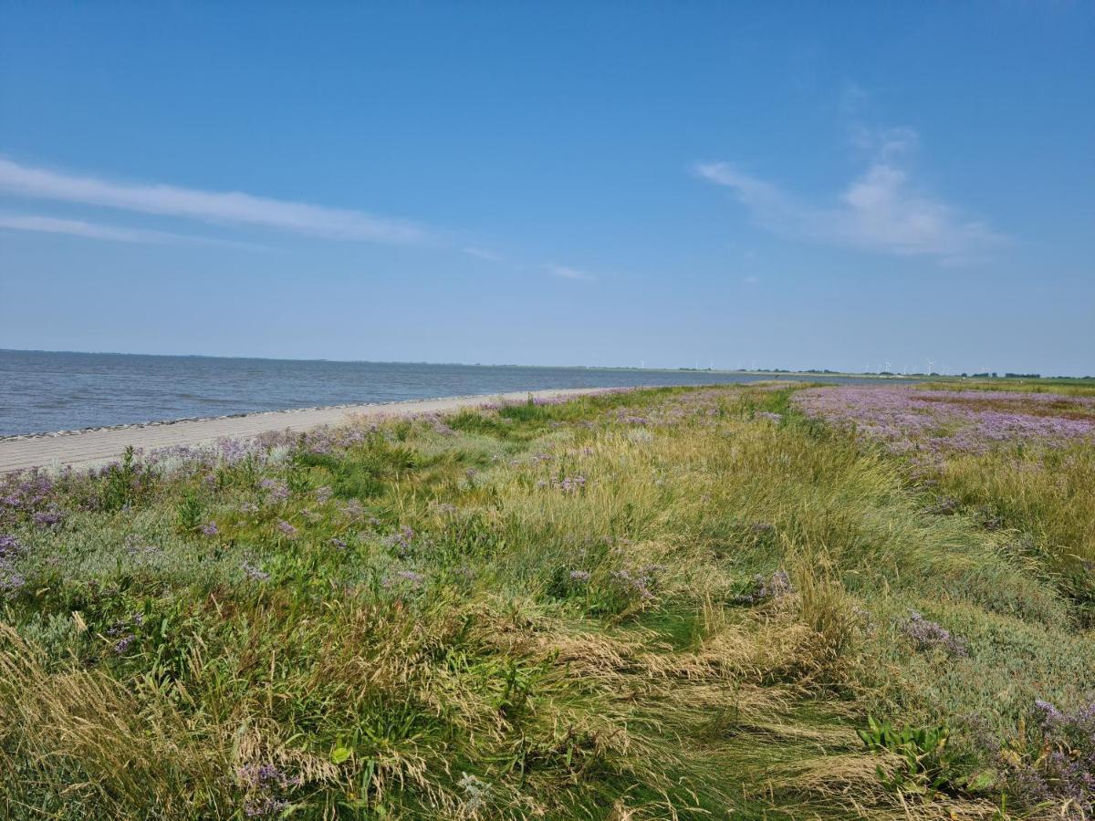 Schweiburg Haus Meererleben - Urlaub Mit Hund An Der Nordseeヴィラ エクステリア 写真