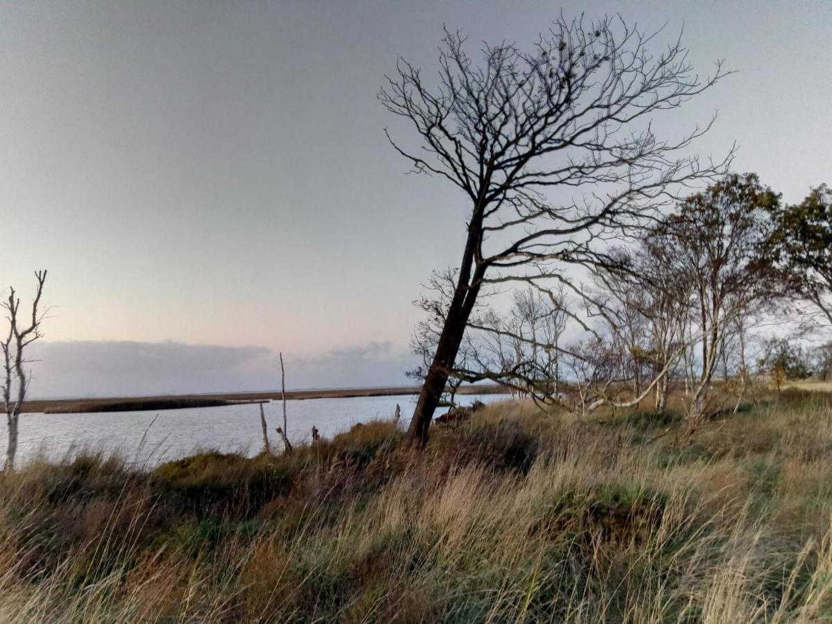 Schweiburg Haus Meererleben - Urlaub Mit Hund An Der Nordseeヴィラ エクステリア 写真