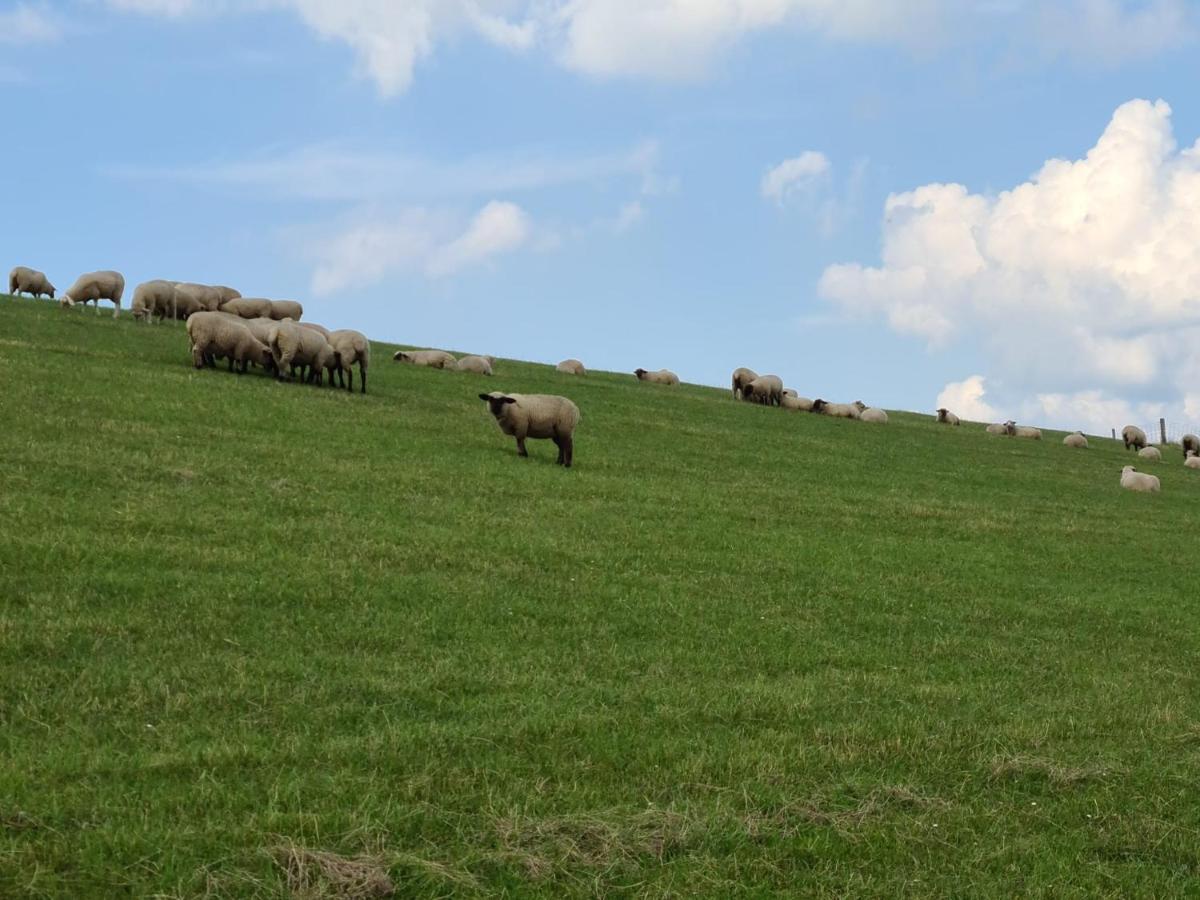 Schweiburg Haus Meererleben - Urlaub Mit Hund An Der Nordseeヴィラ エクステリア 写真